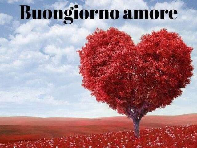 buongiorno amore immagini 