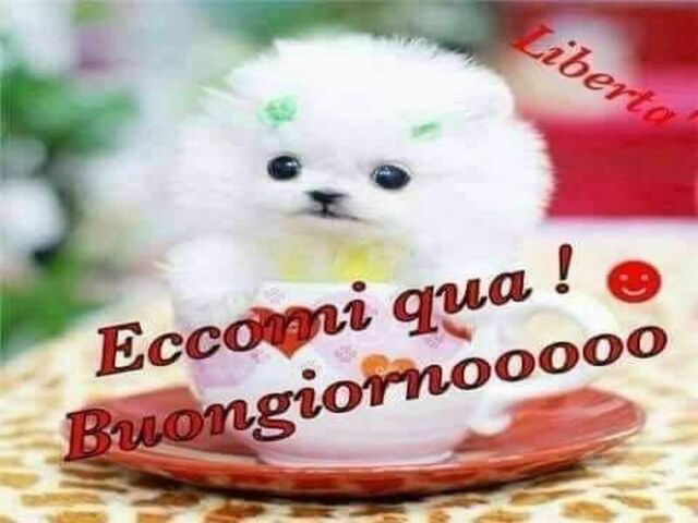 buongiorno amore mio 