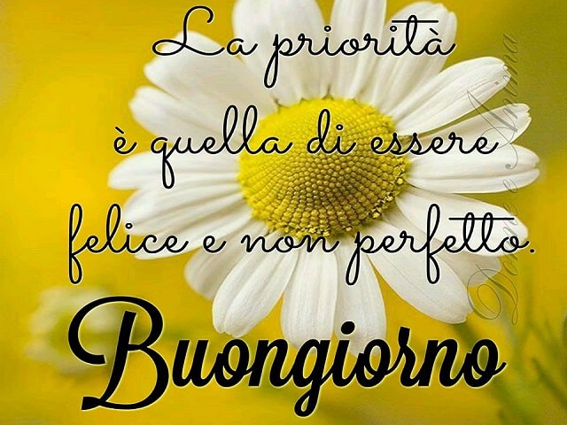 amici buongiorno