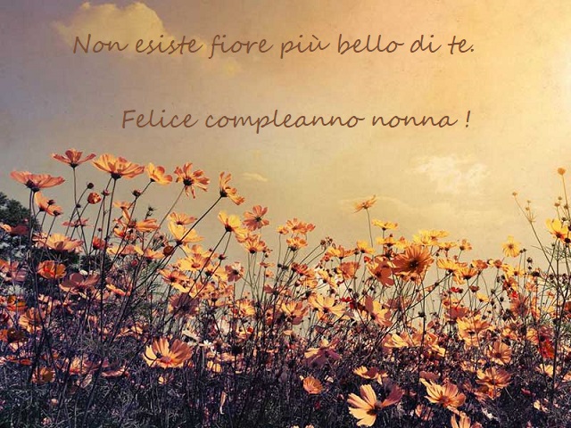 auguri di compleanno alla nonna