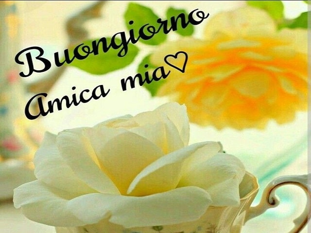 buongiorno a un amica