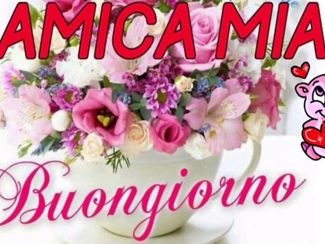 buongiorno amica