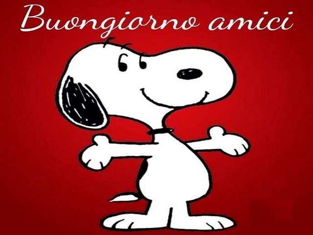 buongiorno amici miei