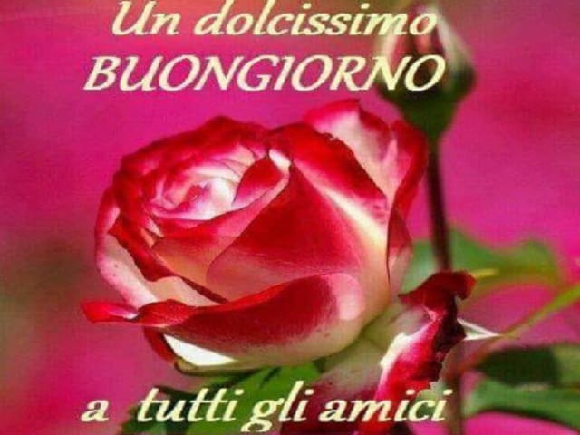 buongiorno amici