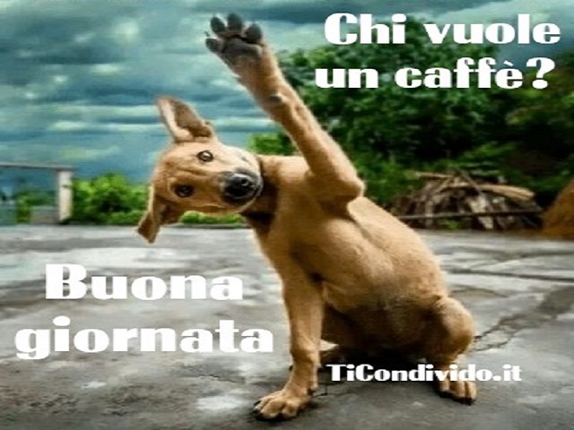 buongiorno foto cane