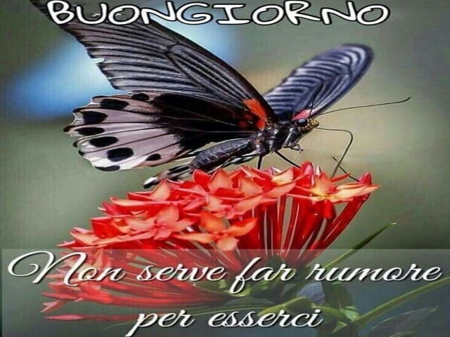 frasi buongiorno amici miei