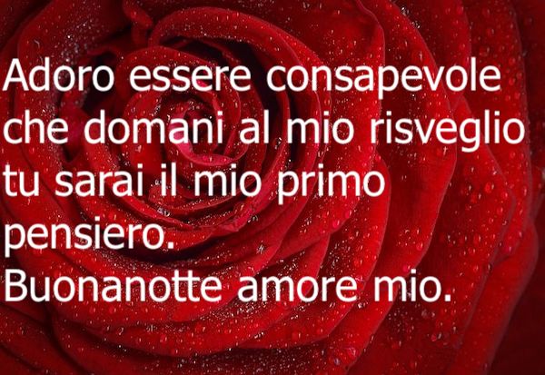 mio amore buonanotte