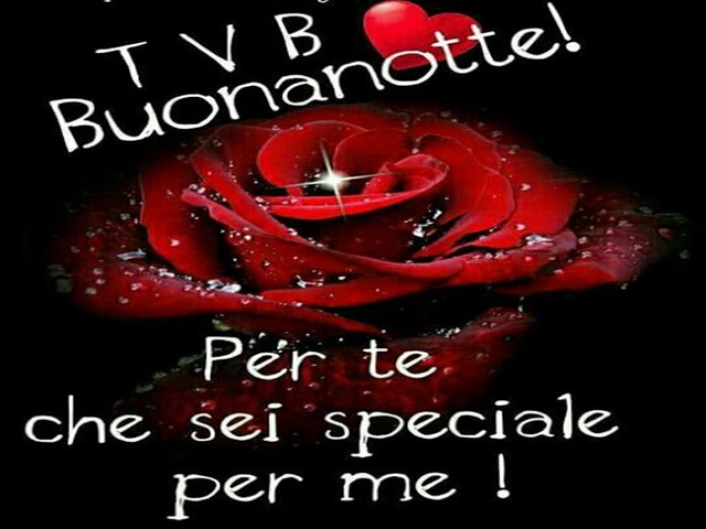 buonanotte amore frasi