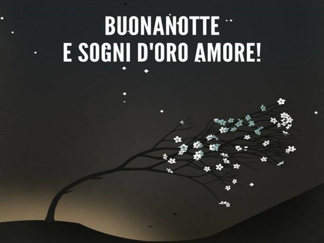 Dolce notte amore