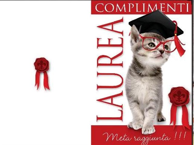 Frasi per laurea simpatiche