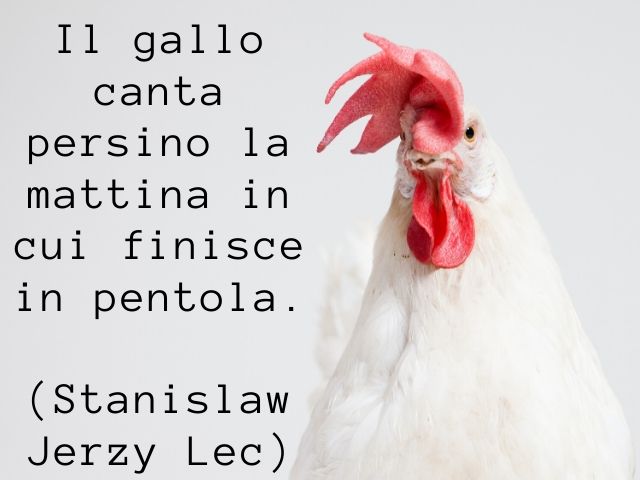 frasi celebri sull'ottimismo