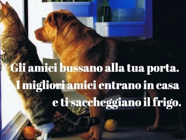 frasi divertenti