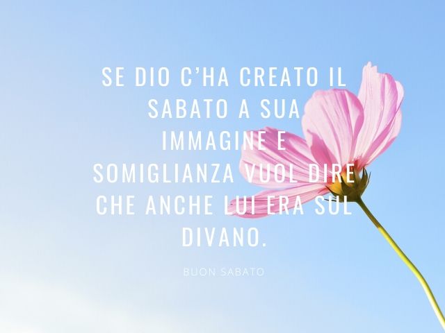 buon sabato con i fiori