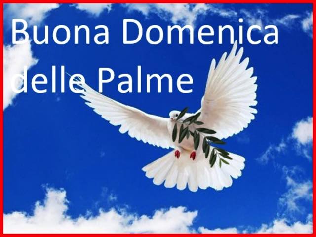 Buona Domenica delle Palme immagini