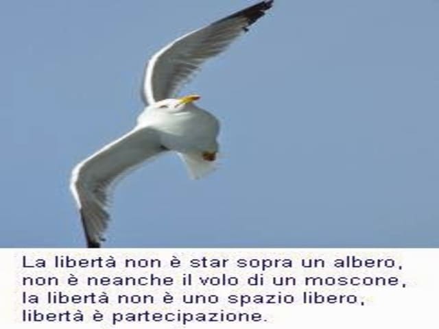 Riflessione sulla libertà