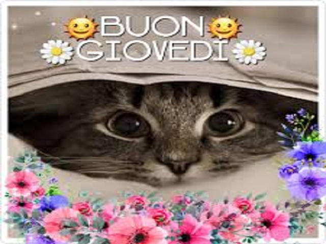 buon giovedi divertente