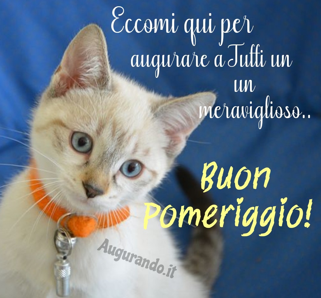 buon pomeriggio frasi