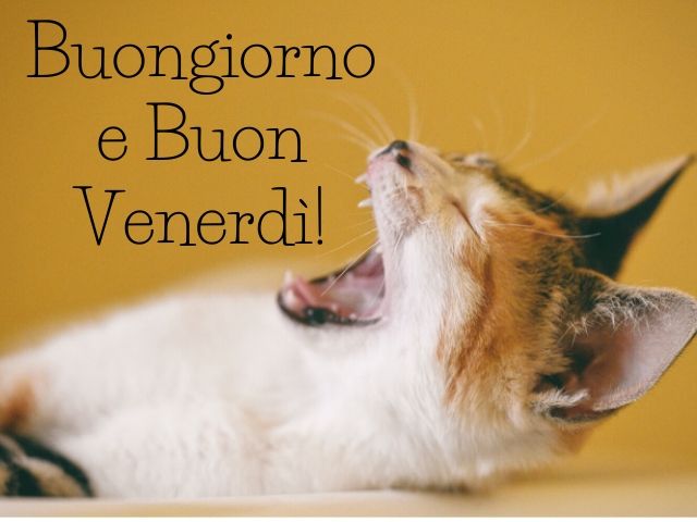 buon venerdì a tutti