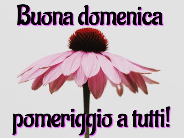 buona domenica a tutti