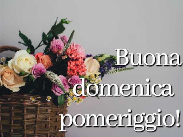 buona domenica amici