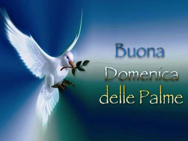 buona domenica delle palme frasi