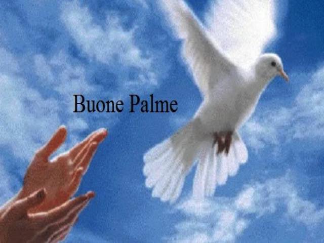 buona domenica delle palme