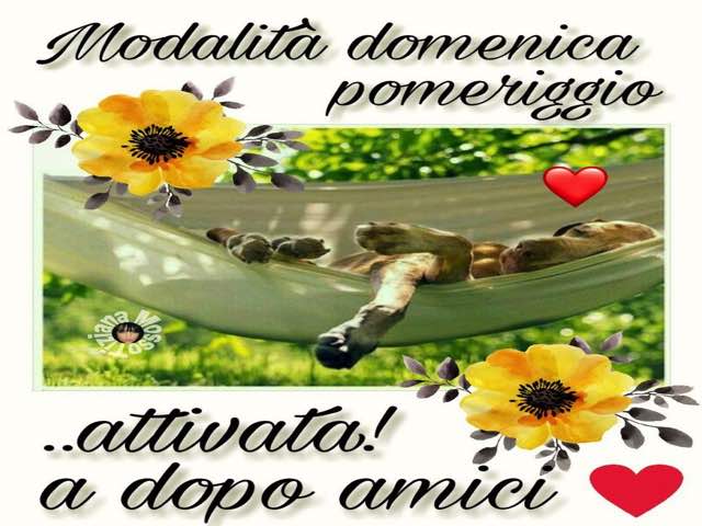 buona domenica divertenti