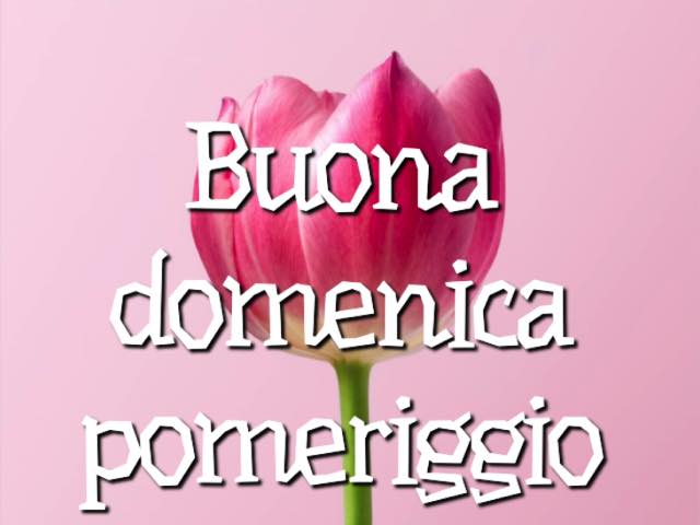 buona domenica estiva