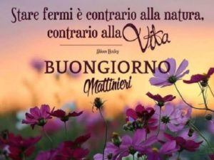 buongiorno natura