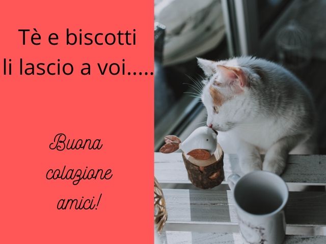 colazione immagini