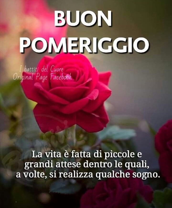 felice pomeriggio