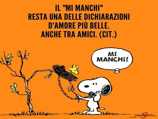 frasi amore divertenti