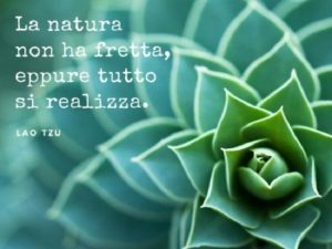 frasi belle sulla natura