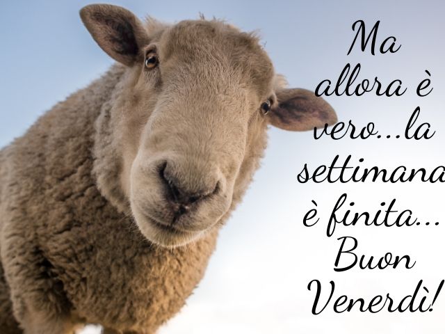 frasi del buon venerdì