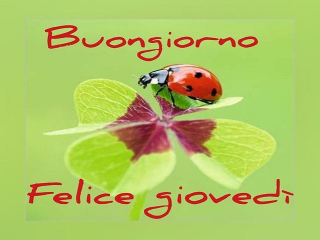 frasi di buon giovedi