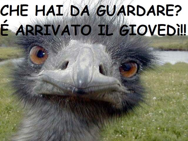 frasi per augurare una buona giornata