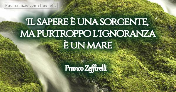 frasi su ignoranza e presunzione