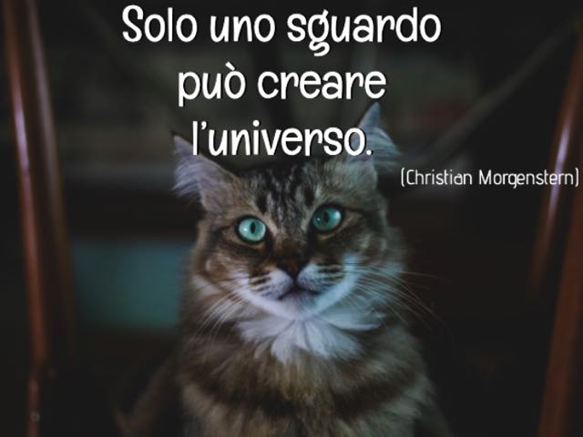 frasi sugli sguardi