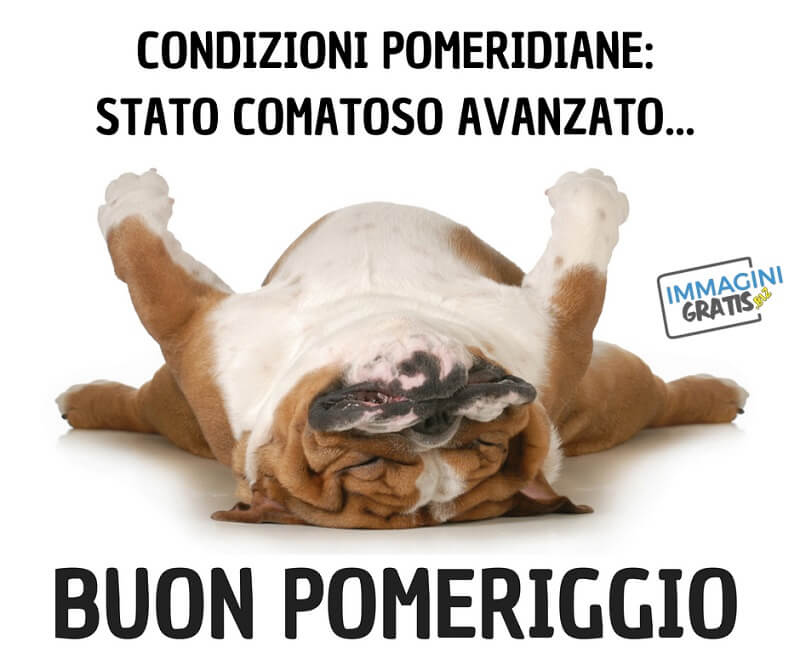 frasi sul buon pomeriggio