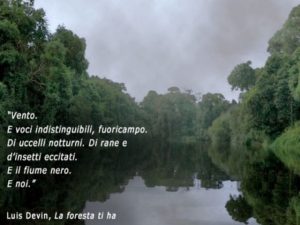 frasi sulla natura e l'uomo