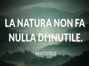 frasi sulla natura famose