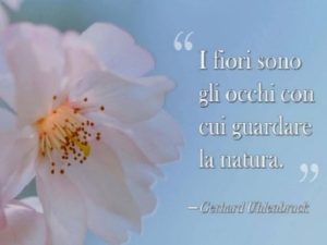 frasi sulla natura per i bambini