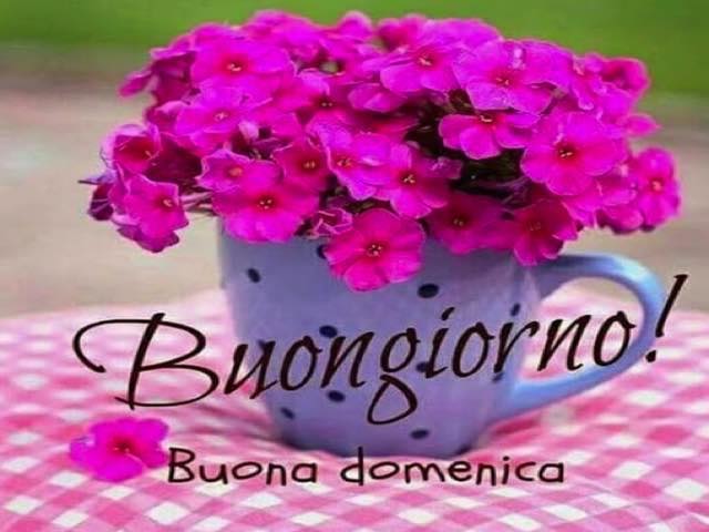 immagine buona domenica