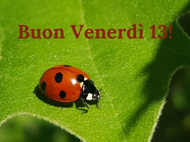 immagini buon venerdì