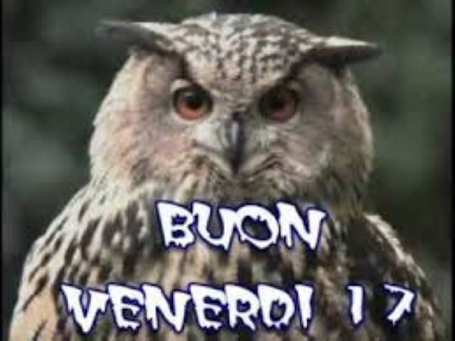 immagini divertenti venerdì 13