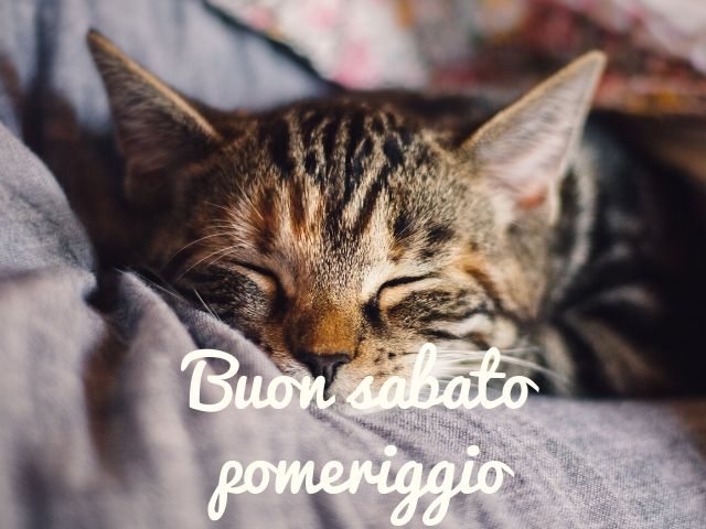 buon sabato pomeriggio immagini