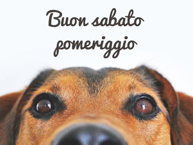 buon-sabato-pomeriggio-immagini-nuove