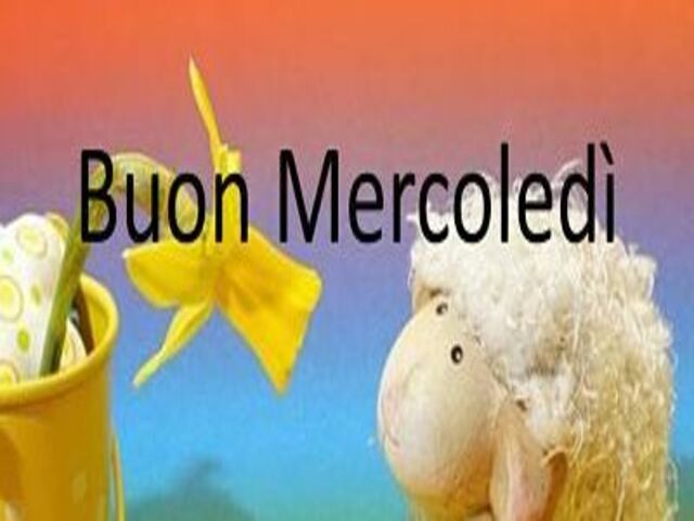 buon mercoledì immagini divertenti