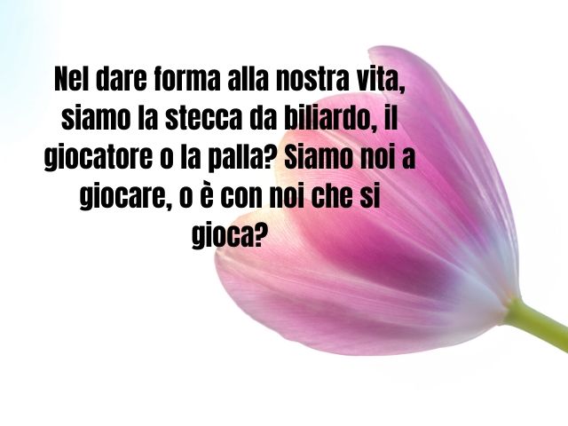 Frasi, citazioni, aforismi e immagini sul destino