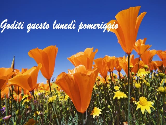 auguri di buon lunedì